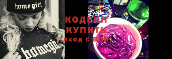 прущий лед Нея