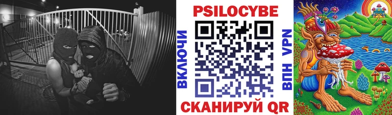 нарко площадка формула  Новотроицк  Псилоцибиновые грибы Magic Shrooms 