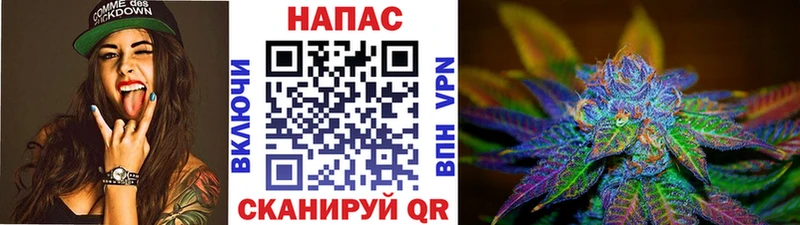 Конопля Bruce Banner Новотроицк